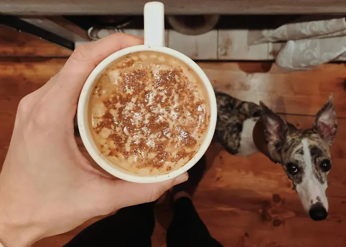 Na Trojici - Dolny * Banská Štiavnica